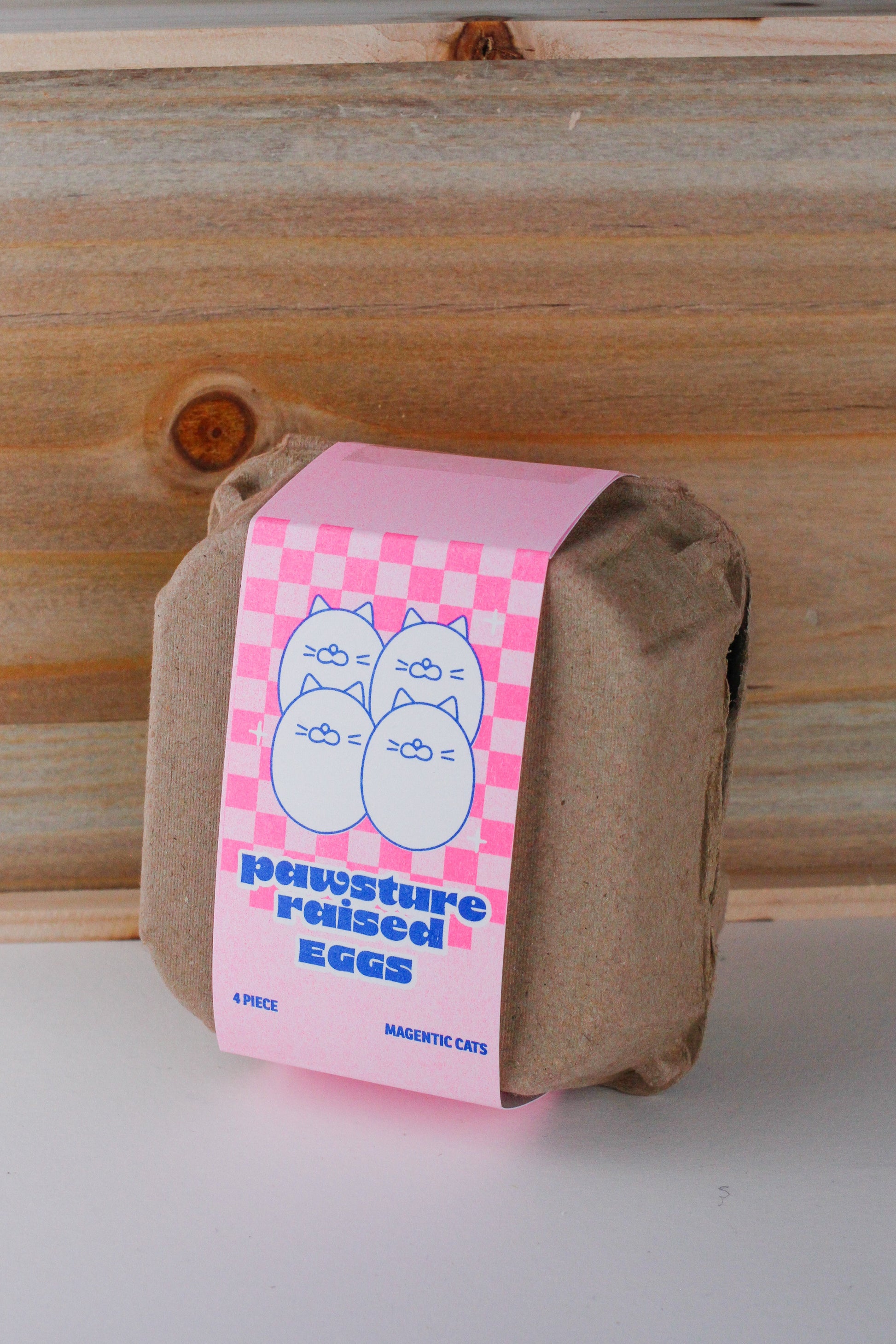 Egg Magnet Photo Holders - 4 Pack
