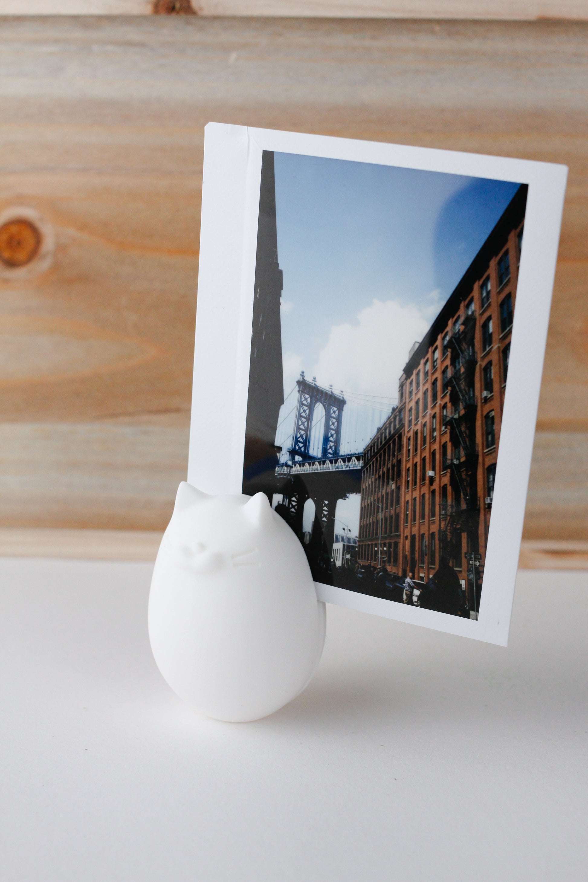 egg photo holder holds a picture