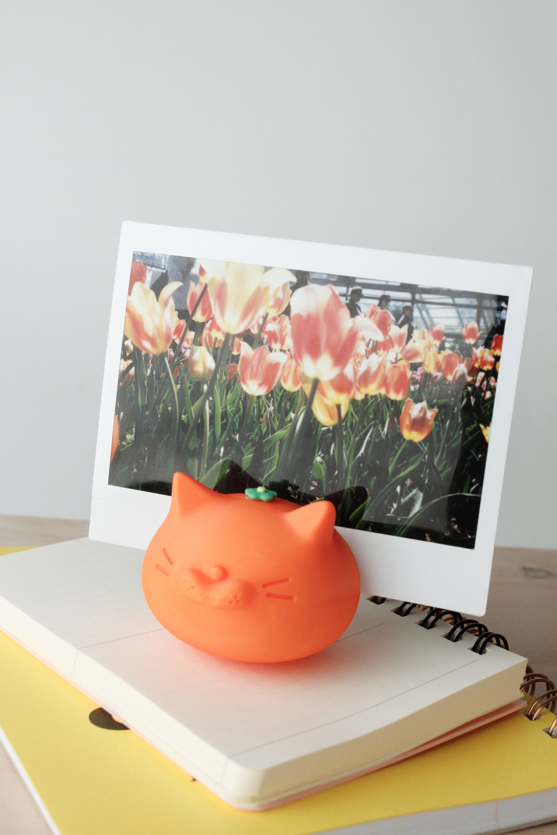 Meowdarin Magnet Photo Holder