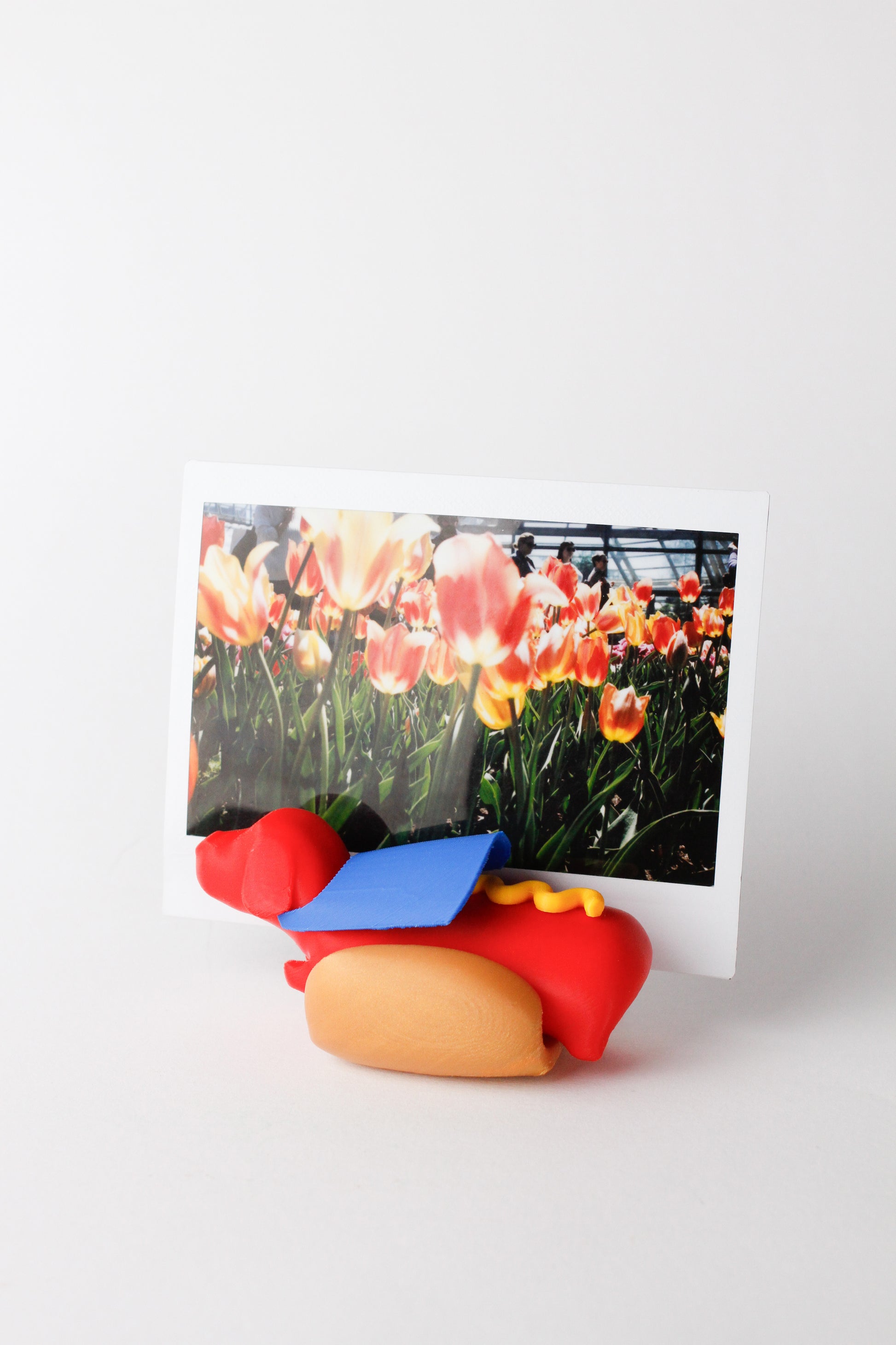 Super Frank Magnet Photo Holder
