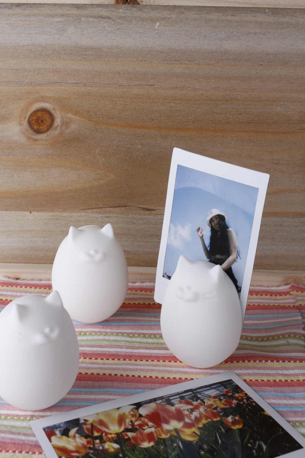 Egg Magnet Photo Holder