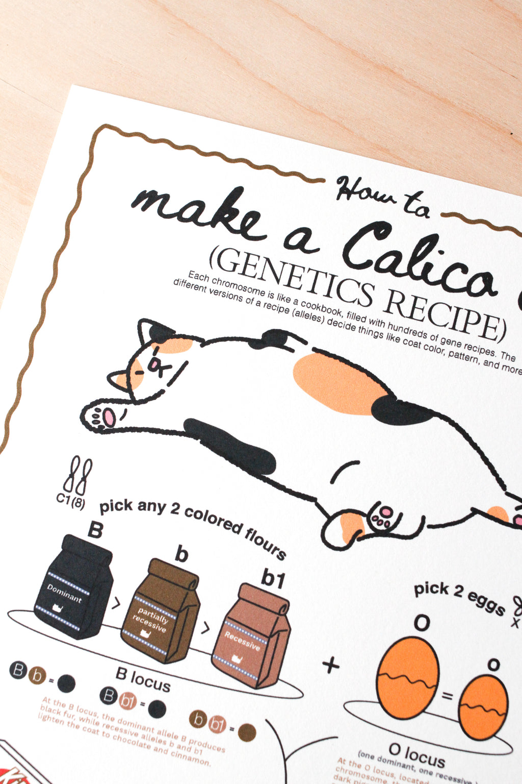 Instructions for making a Calico cat using colored flour and eggs on a wooden surface