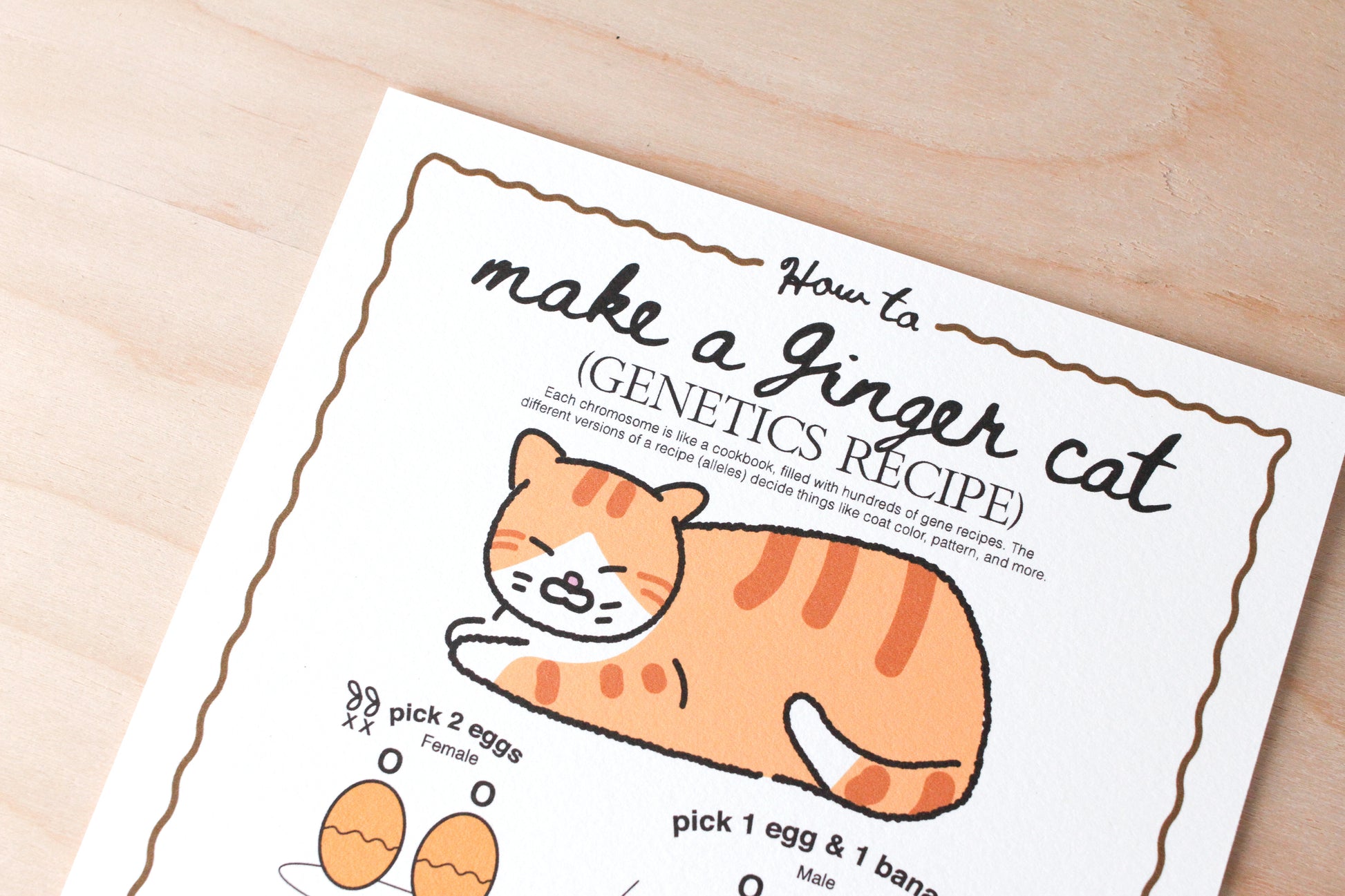 How to make Ginger Cat (Genetics Recipe) Poster