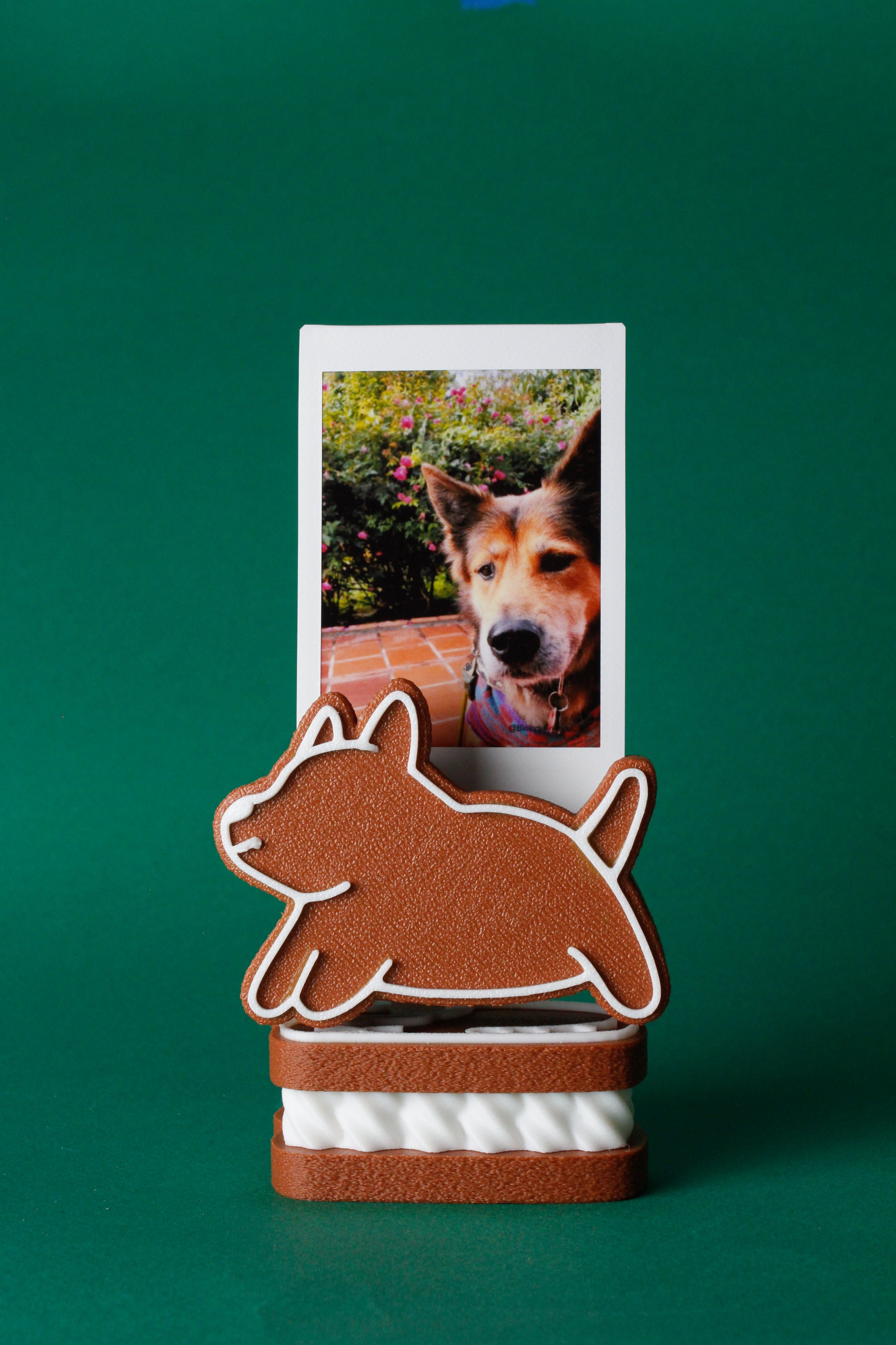 Phone stand with a dog photo on a green background