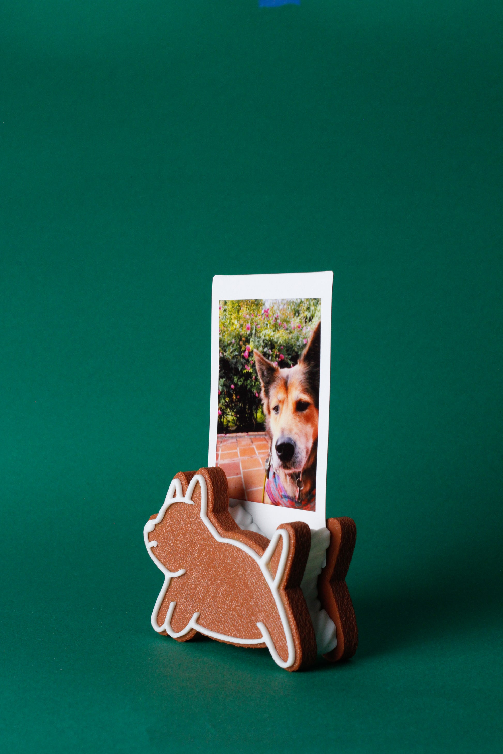 Dog-shaped photo holder with a dog photo on a green background