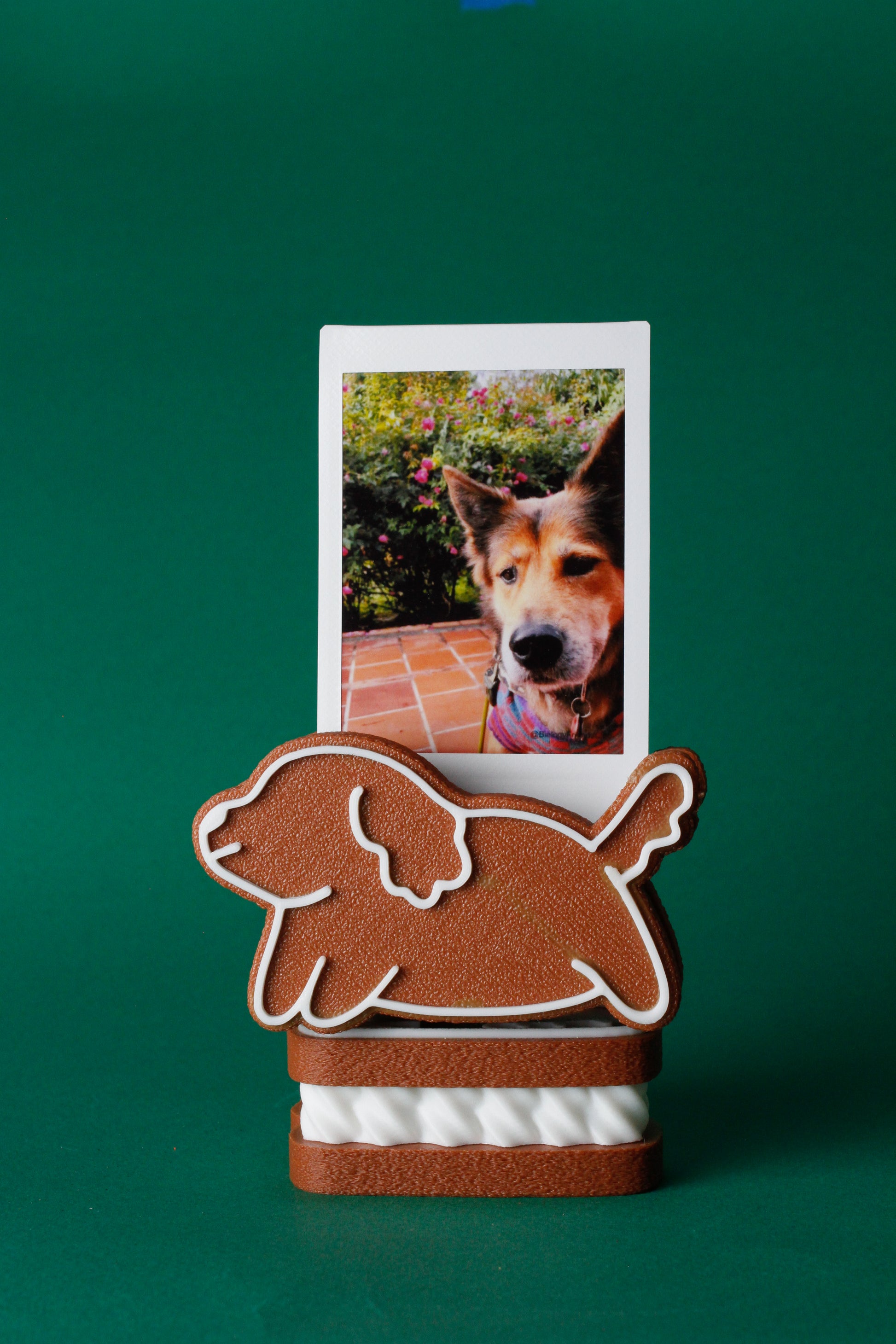 Dog-shaped photo holder with a dog photo on a green background