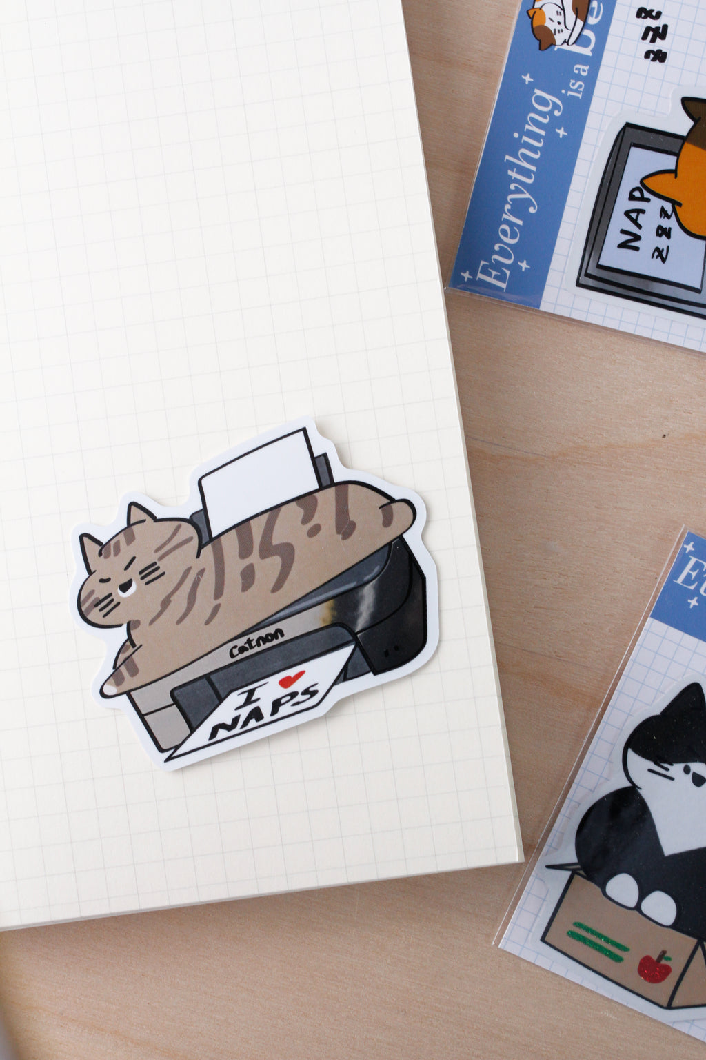 Cat on a printer