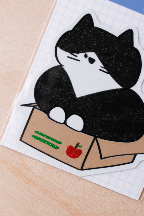 Cat on a box