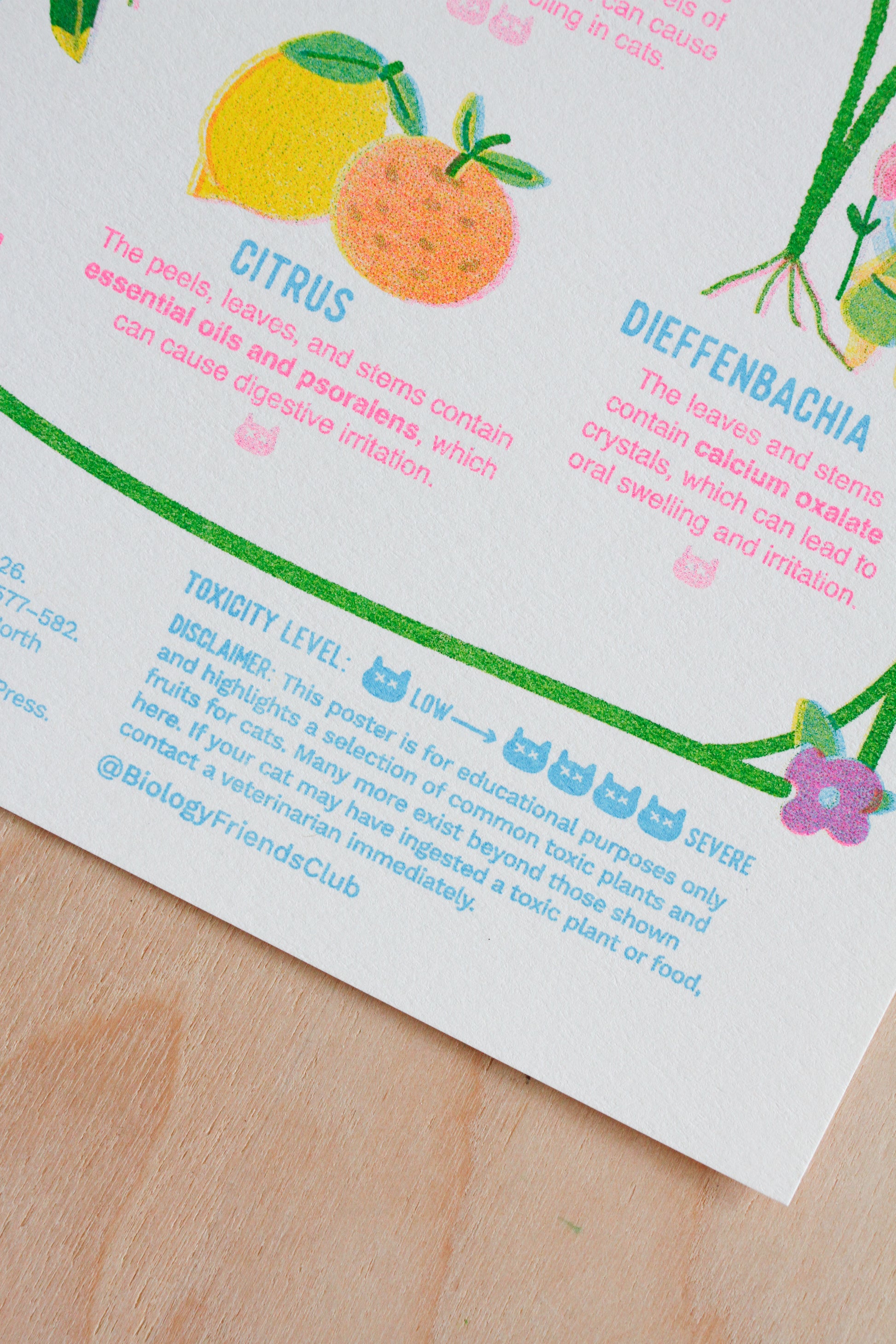 A Cat's Guide to Forbidden Snacks- Risograph Print