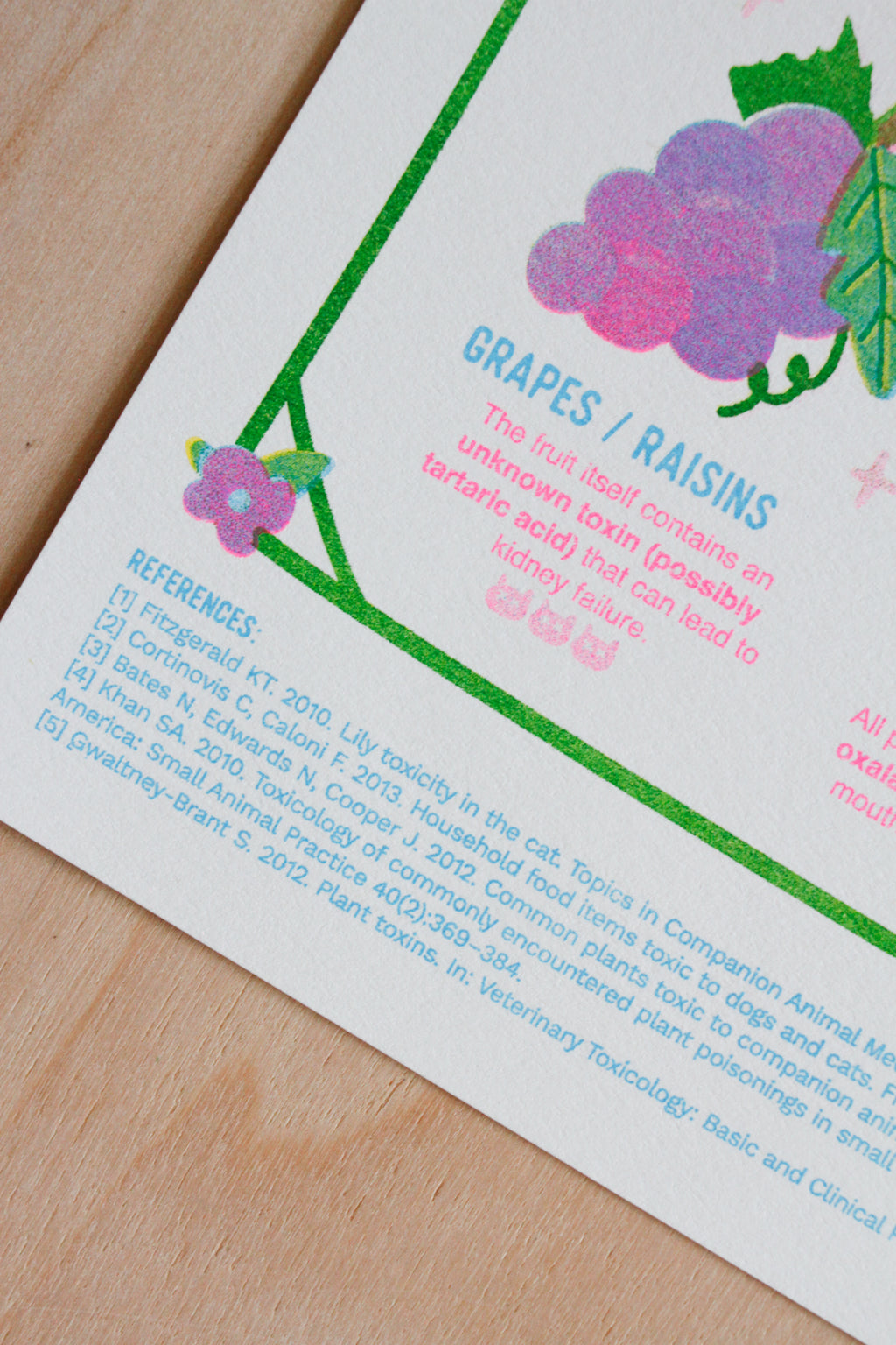A Cat's Guide to Forbidden Snacks- Risograph Print