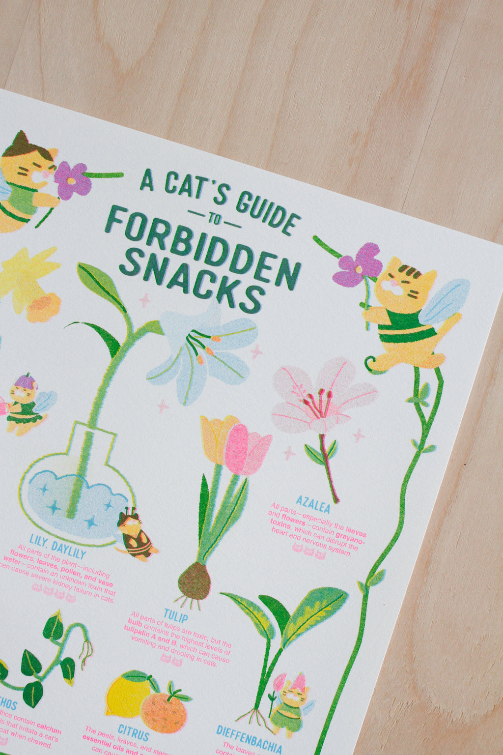 A Cat's Guide to Forbidden Snacks- Risograph Print