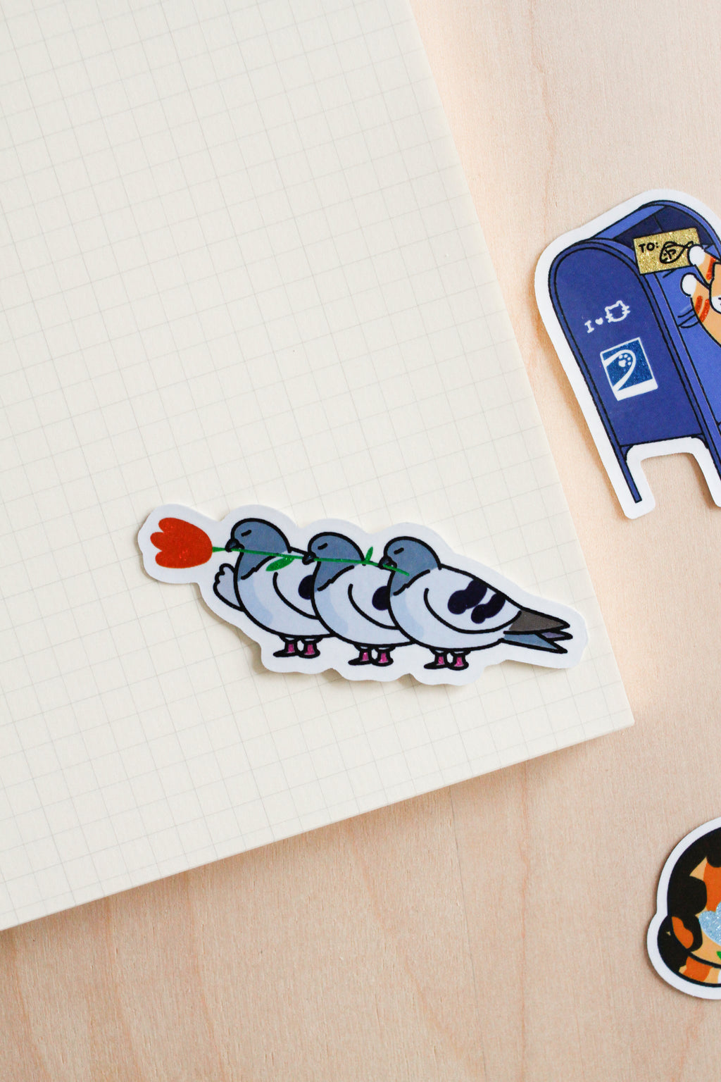 Pigeons with flower