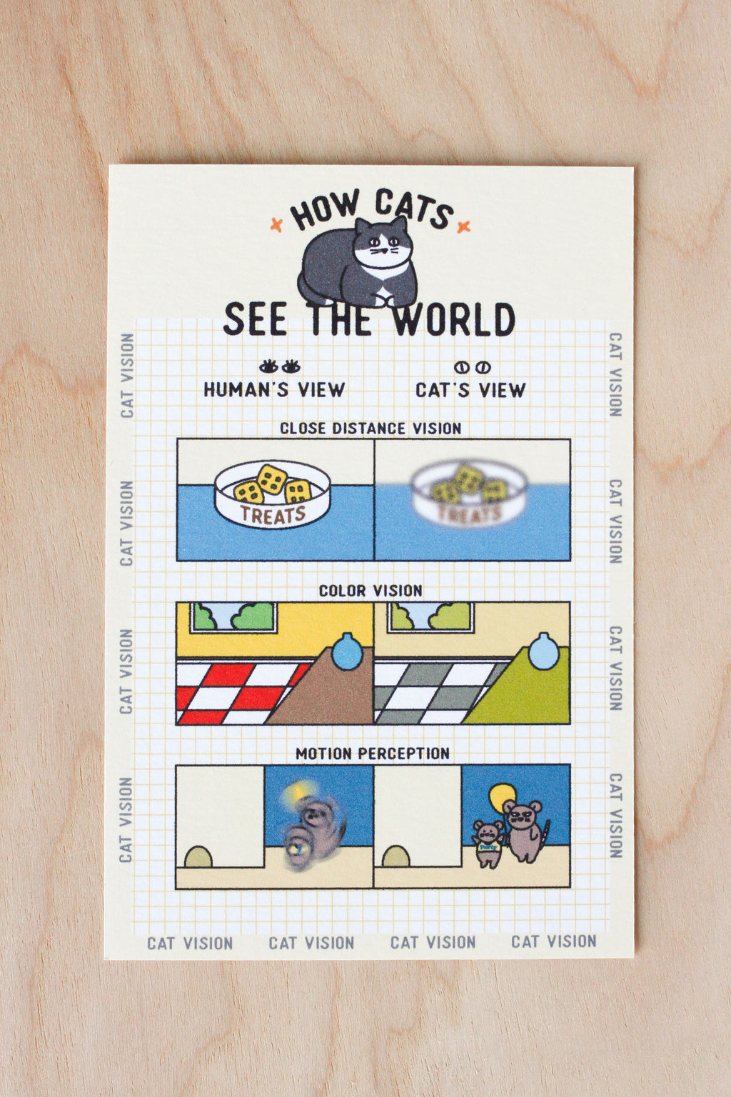 How Cat See The World-Postcard