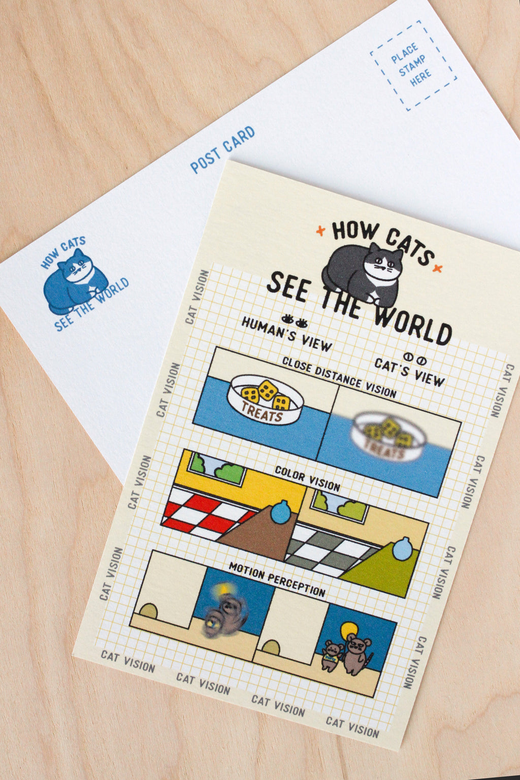 How Cat See The World-Postcard