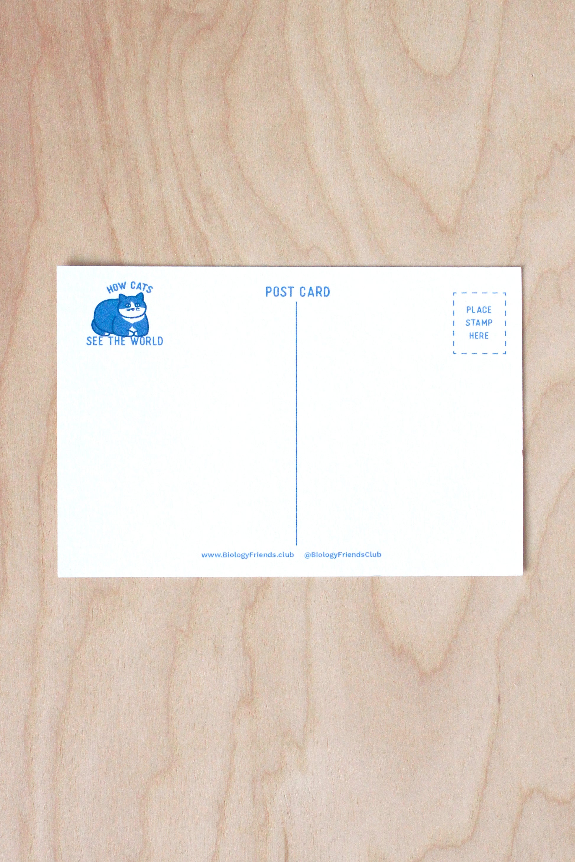How Cat See The World-Postcard