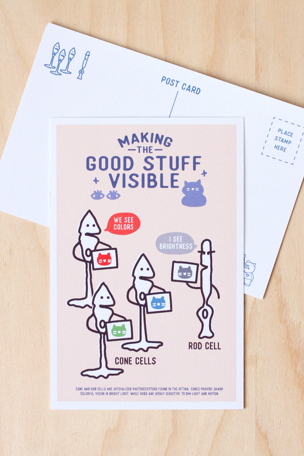 A postcard featuring a whimsical illustration of cone cells and rod cells with the text 'MAKING THE GOOD STUFF VISIBLE' lies on a light wood surface next to its white envelope.