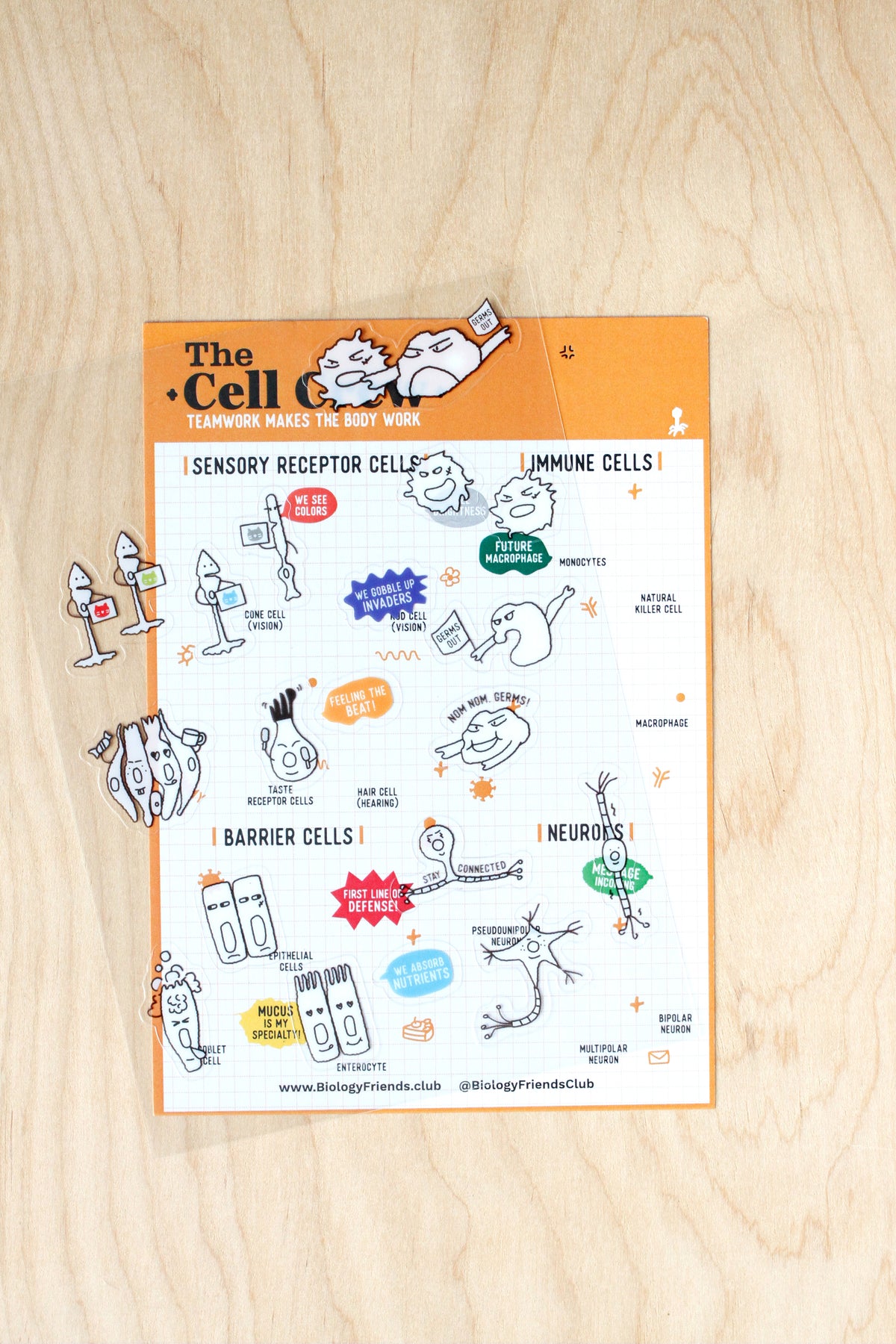 Cell Crew Sticker Sheet