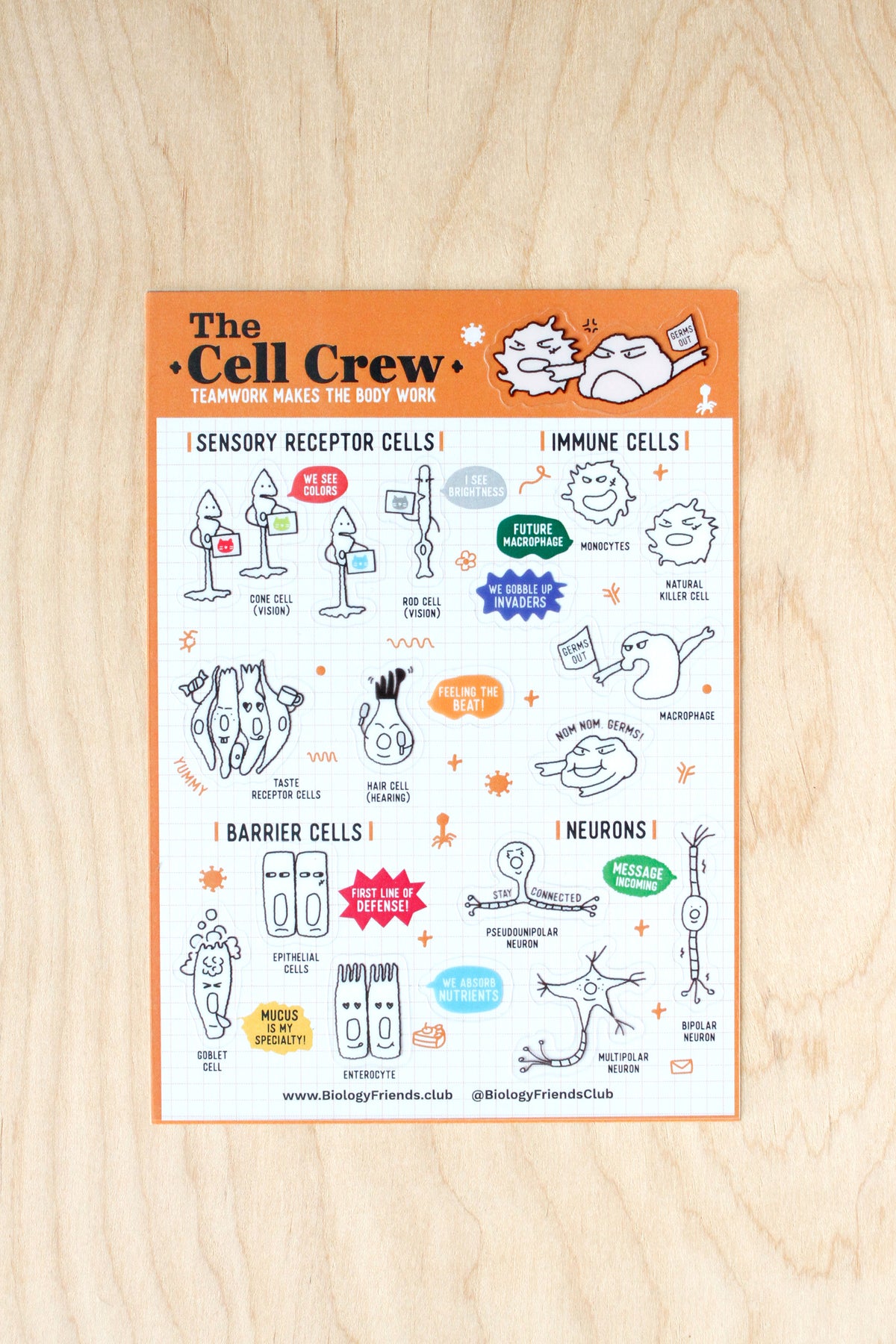 Cell Crew Sticker Sheet