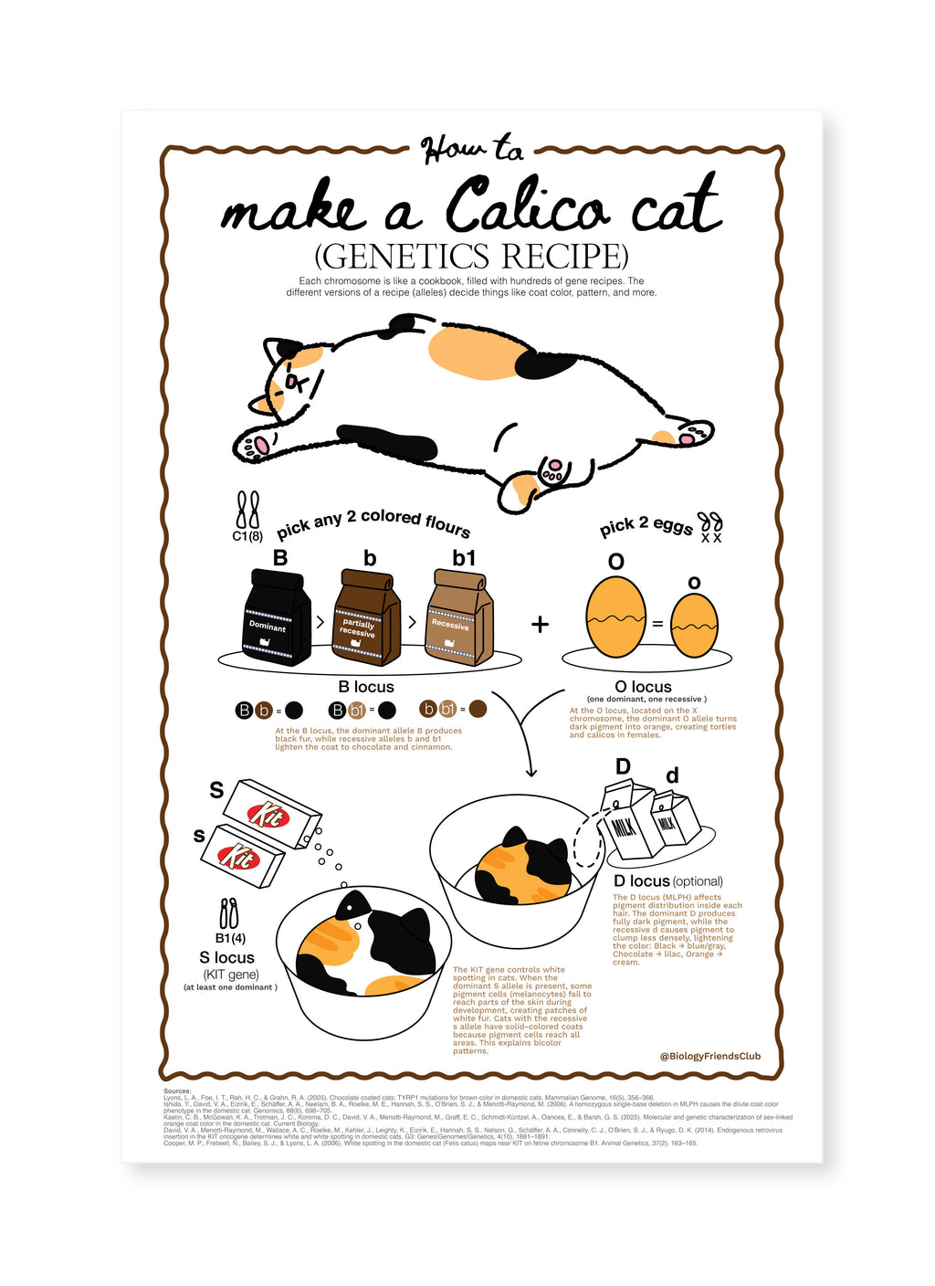 How to make Calico Cat (Genetics Recipe) Poster