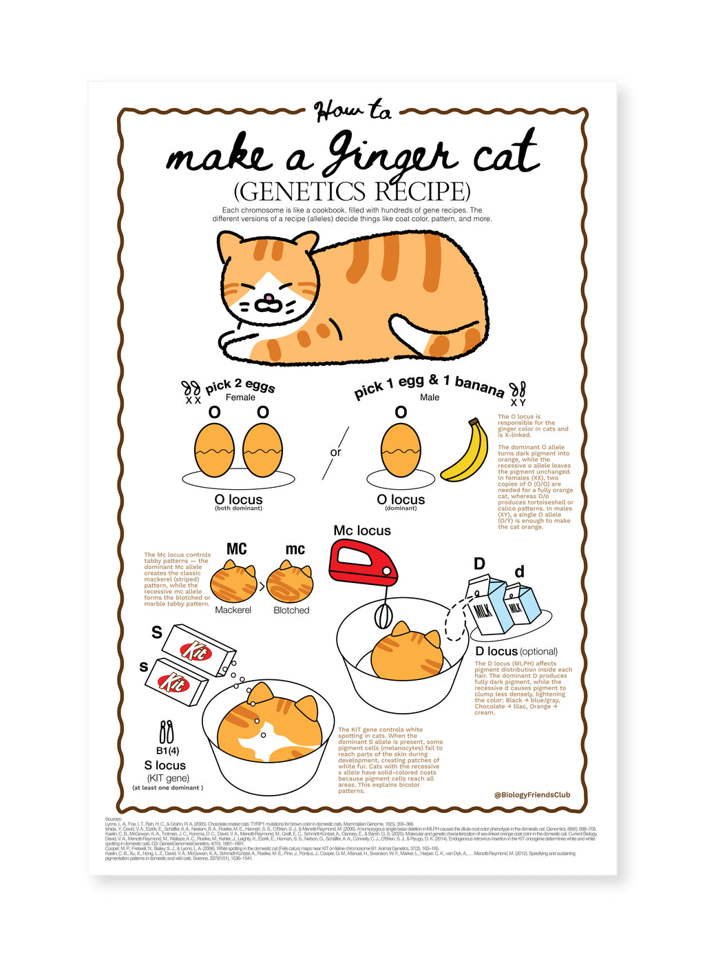 How to make Ginger Cat (Genetics Recipe) Poster
