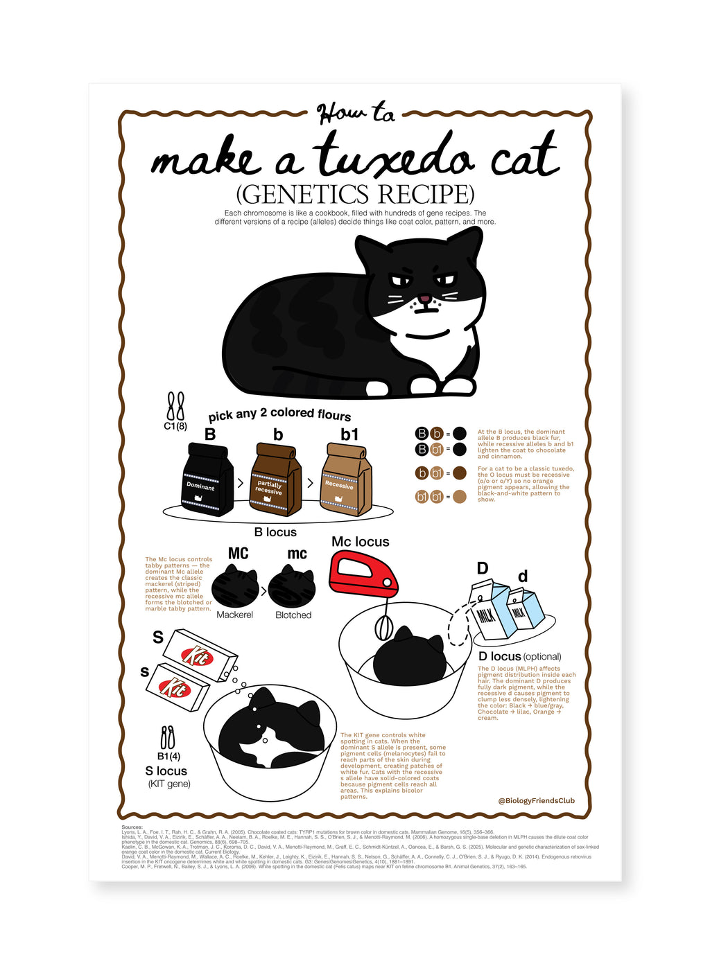 How to make Tuxedo Cat (Genetics Recipe) Poster